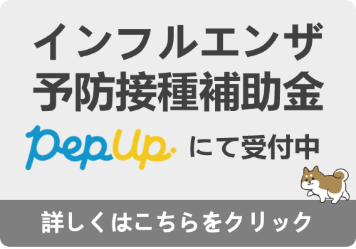 インフルエンザ予防接種補助金制度