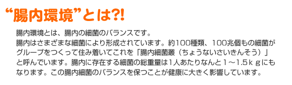 【“腸内環境”とは?!】腸内環境とは、腸内の細菌のバランスです。
腸内はさまざまな細菌により形成されています。約100種類、100兆個もの細菌がグループをつくって住み着いてこれを「腸内細菌叢(ちょうないさいきんそう)」と呼んでいます。腸内に存在する細菌の総重量は1人あたりなんと1〜1.5kgにもなります。この腸内細菌のバランスを保つことが健康に大きく影響しています。