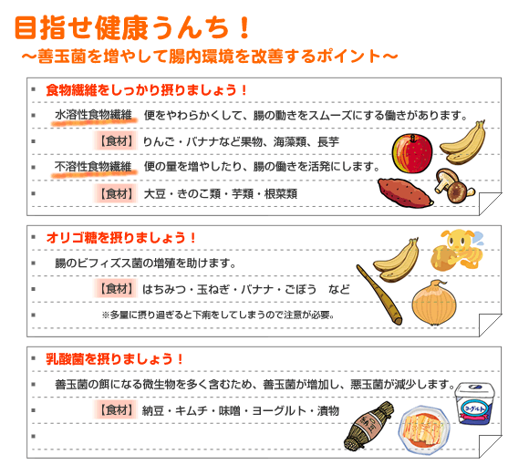 【目指せ健康うんち! 〜善玉菌を増やして腸内環境を改善するポイント〜】◆食物繊維をしっかり摂りましょう!□水溶性食物繊維:便をやわらかくして、腸の動きをスムーズにする働きがあります。【食材】 りんご・バナナなど果物、海藻類、長芋 □不溶性食物繊維:便の量を増やしたり、腸の働きを活発にします。【食材】大豆・きのこ類・芋類・根菜類 ◆オリゴ糖を摂りましょう! 腸のビフィズス菌の増殖を助けます。【食材】はちみつ・玉ねぎ・バナナ・ごぼう など ※ 多量に摂り過ぎると下痢をしてしまうので注意が必要。◆乳酸菌を摂りましょう! 善玉菌の餌になる微生物を多く含むため、善玉菌が増加し、悪玉菌が減少します。【食材】納豆・キムチ・味噌・ヨーグルト・漬物
