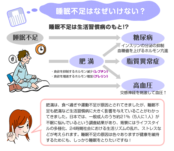 睡眠不足はなぜいけない？