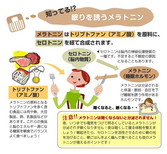 眠りを誘うメラトニン