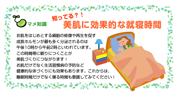 マメ知識
