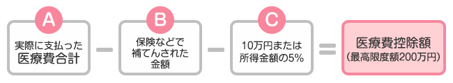 医療費控除額