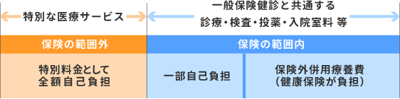 保険外併用療養費